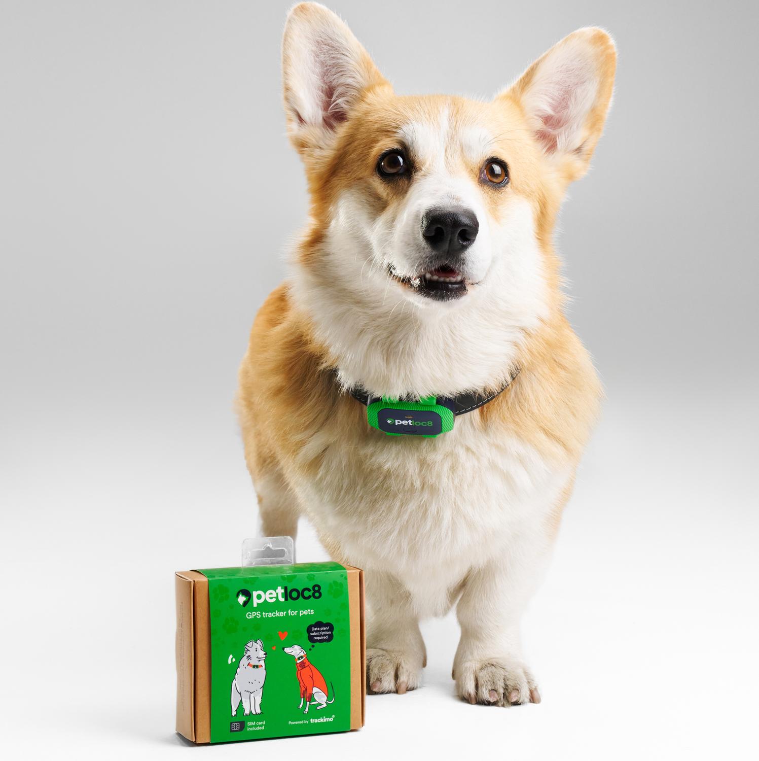 Localizador para Mascotas GPS Myloc8 Petloc8 GPS Tracker - Imagen 9