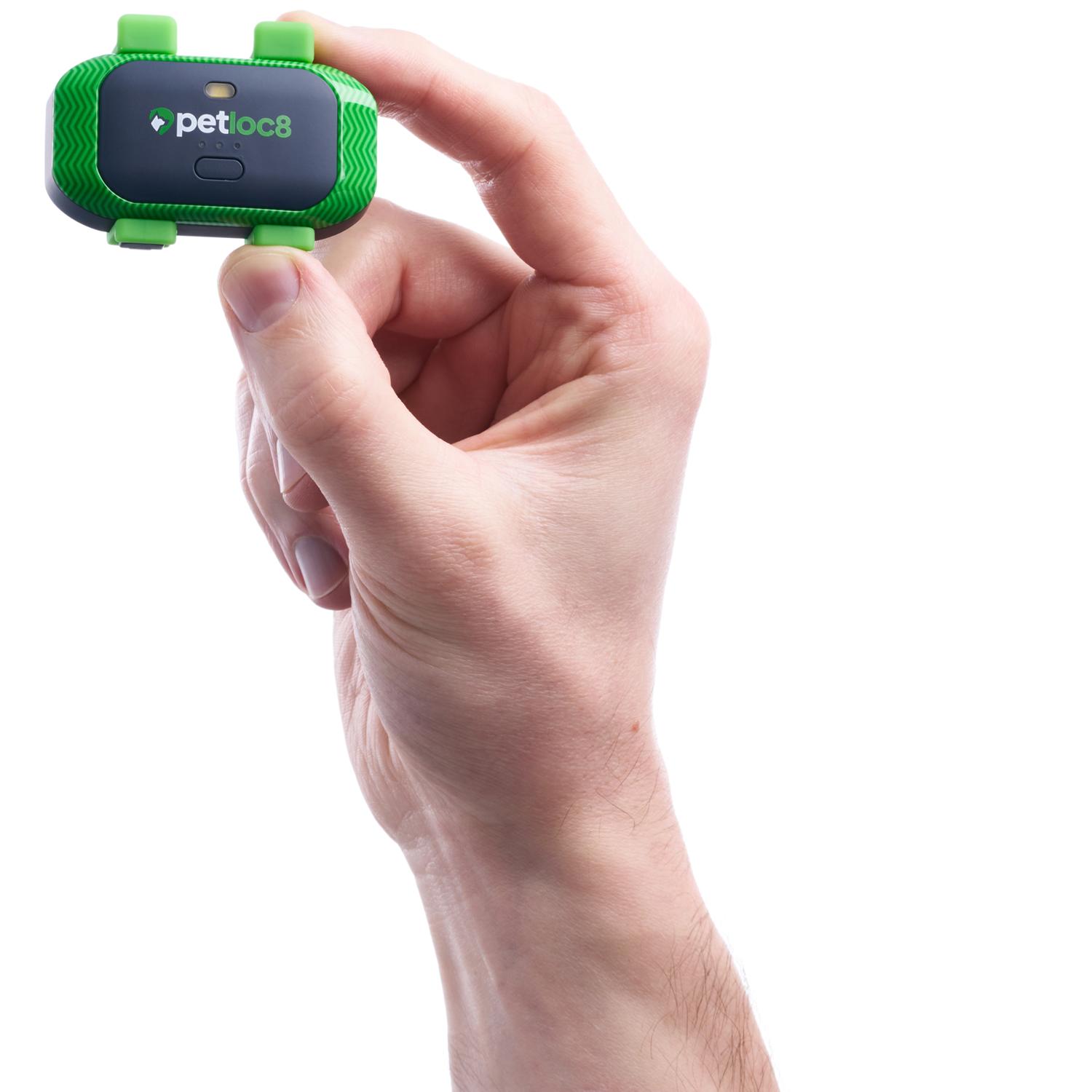 Localizador para Mascotas GPS Myloc8 Petloc8 GPS Tracker - Imagen 4